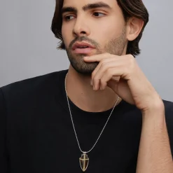 Amulets<LAGOS Tiger Iron Shield Amulet