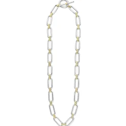 Chains<LAGOS Two-Tone Link Necklace
