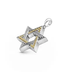 Amulets<LAGOS Two-Tone Star Of David Amulet